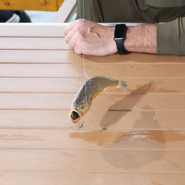 How to Start Fishing: Complete Beginner’s Guide with Tips & Gear for 2025