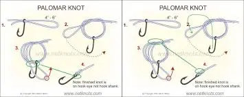 Improved clinch knot diagram step-by-step instructions for beginners tying fishing line to hook