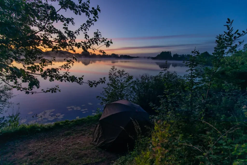 Discover the best time of day and weather