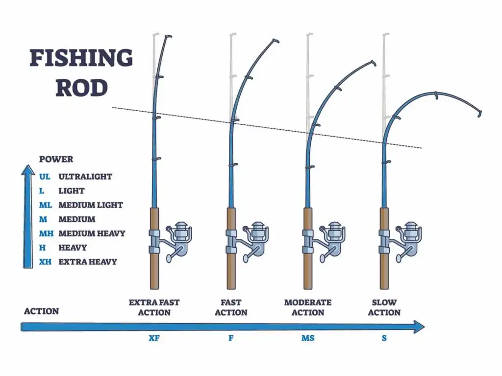 Detailed diagram of fishing rod parts showing blank, guides, reel seat, and handle
