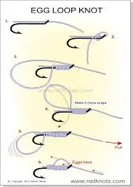 Palomar knot diagram showing strongest fishing knot for braided line and heavy tackle