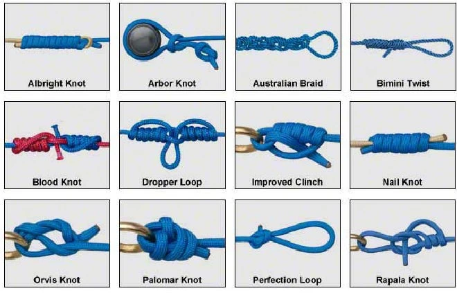 Split-screen showing static knot diagram versus animated knots demonstration