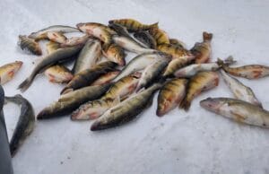 devils lake ice fishing