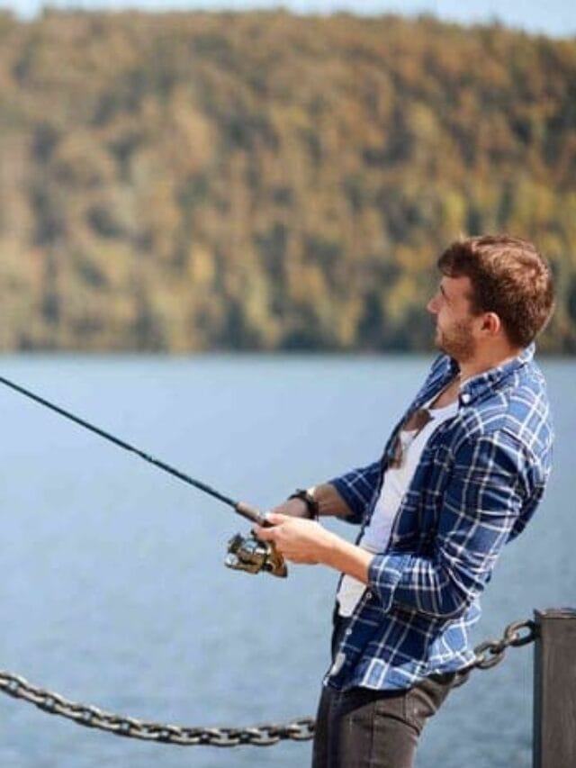 best-fishing-rods-for-beginners-2026/